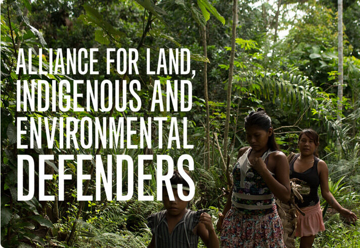 The text "Alliance for Women and children walking in the rainforest and the text "Land, Indigenous and Environmental Defenders".