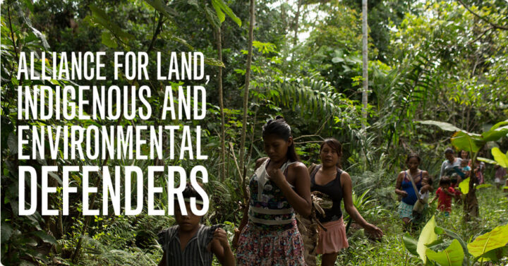 Teksti "Alliance for Land, Indigenous and Environmental Defenders". Taustalla naisia ja lapsia kulkemassa sademetsässä.